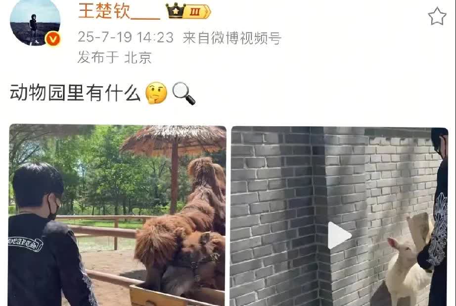 咱就是说动物园里有什么呢

有人说对象，又说小太羊

所以哥去了动物园
