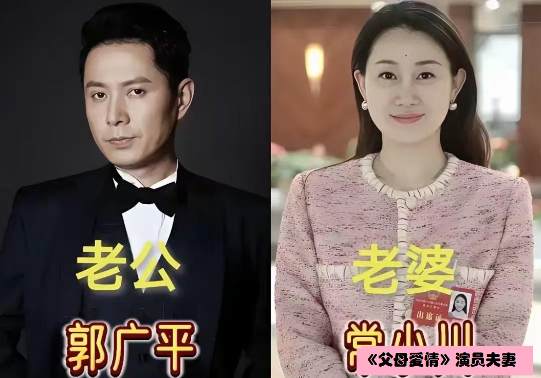 2014年电视剧《父母爱情》在没有大规模宣传的情况下悄然开播，很快收到了观众的喜