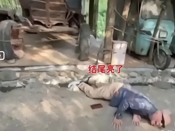 被封杀的夹头，
在北京农村瞎得瑟，
又摔了个结实的狗啃屎。 ​​​