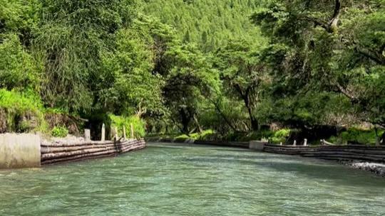 张秃子的忐忑人生笔记——264原谅之后的海阔天空