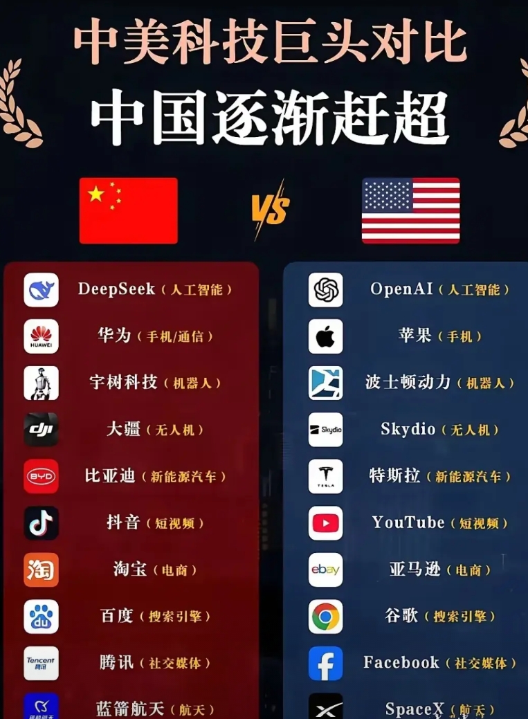 我们太不容易了，披星戴月追赶了这么多年，终于在科技方面可以和美国全面对标了，虽然