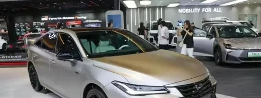 有高人预测，将来新能源汽车厂商大概存活率：
第一名：比亚迪——100%存活

