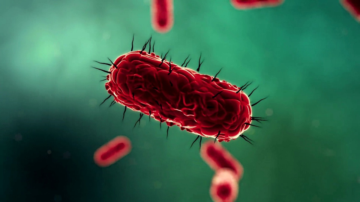 自由意志的终极审判：弓形虫如何让人类行为“失控”