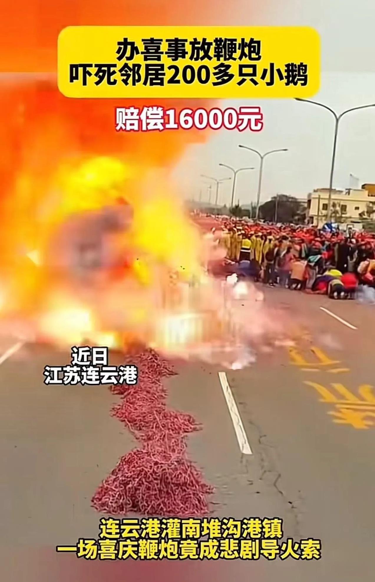邻居家办喜事放鞭炮，“吓死”隔壁养殖场200多只小鹅！养殖户：“必须赔偿我的损失