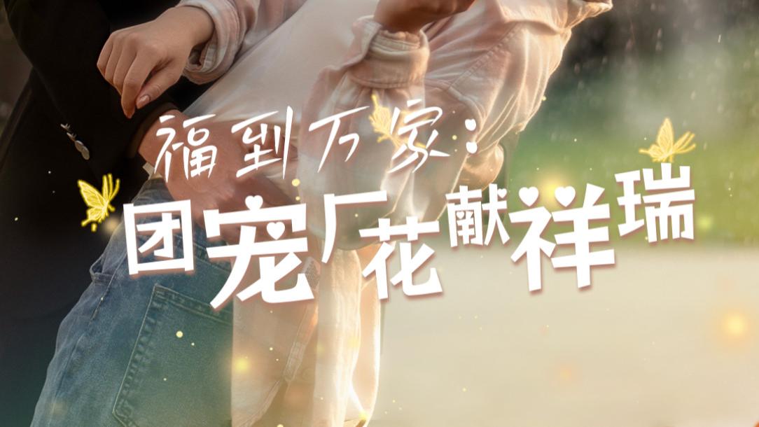 短剧《福到万家团宠厂花献祥瑞-哪有动情是意外》在线观看（全51集）赵振栋-张若辰，完整版全集