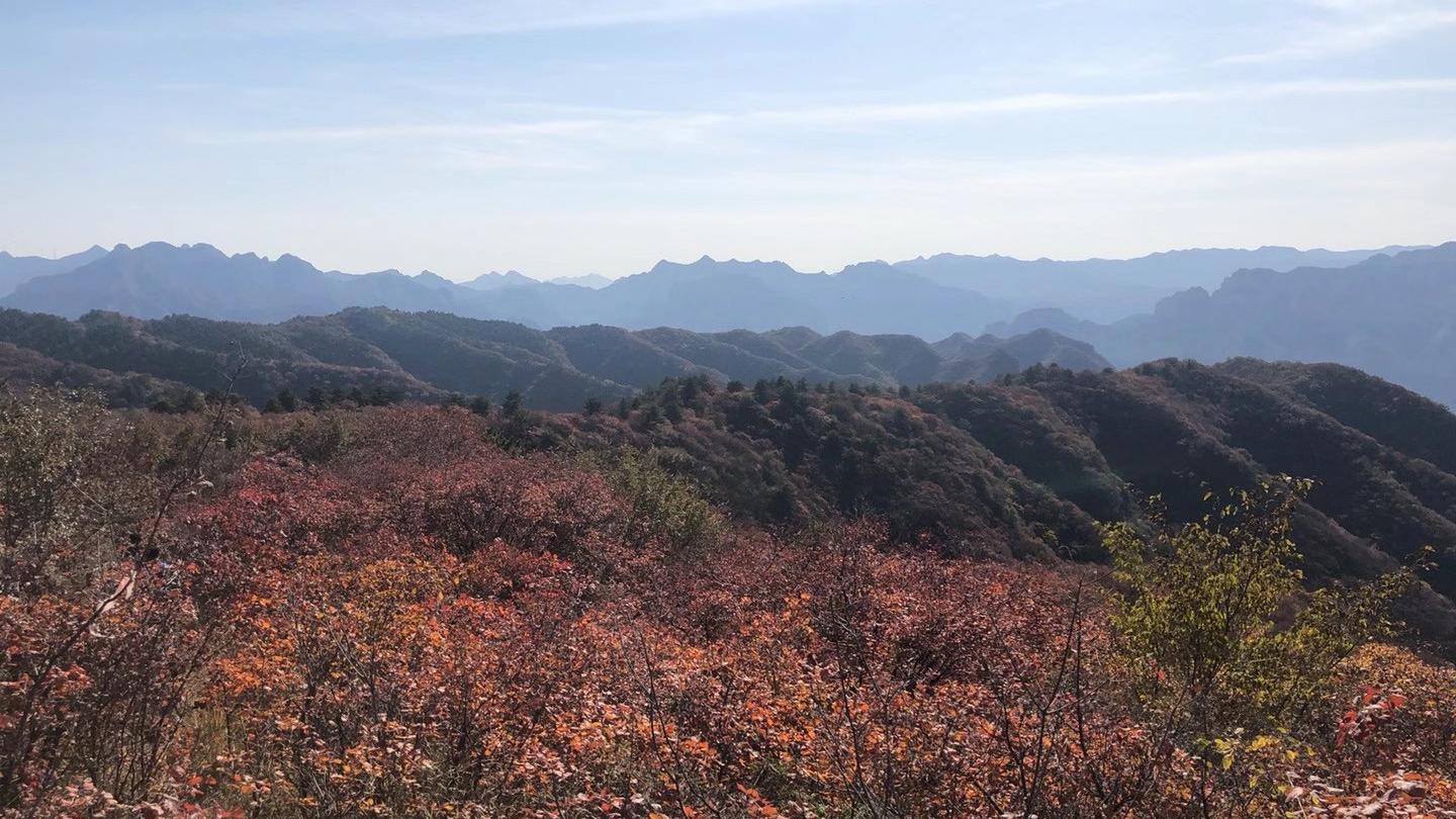 人与人之间最长久的关系