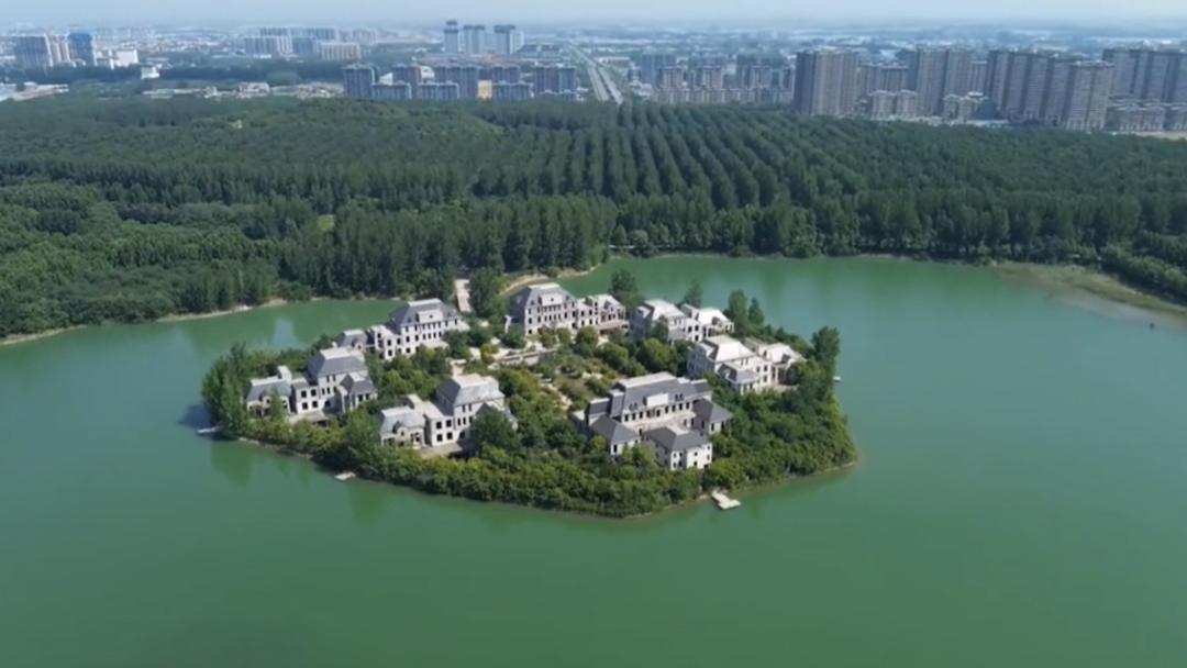 荒岛变“兄弟岛”！河南大哥带6小弟岛上安家，网友：羡慕哭了