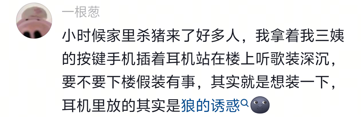 其实就是想装一下