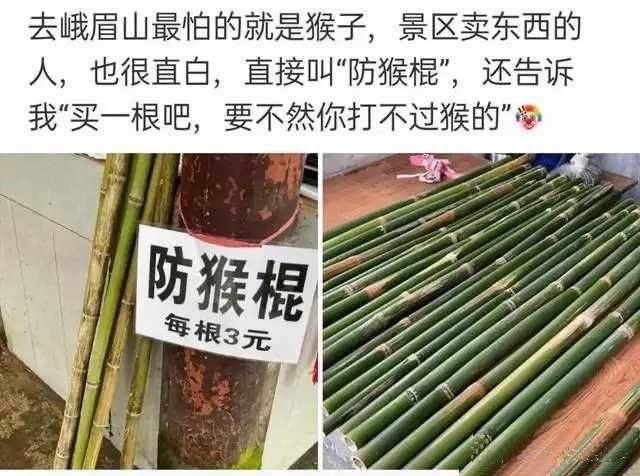 买一根吧，要不然打不过猴的!