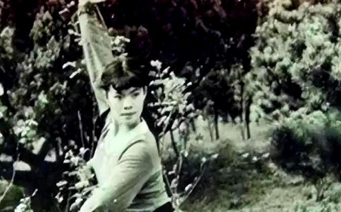 1968年，武僧宋久安收留了一名流落街头的少女，并将轻功传授给她。
没想到，这个