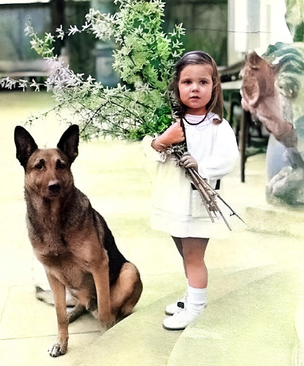 这个可爱的小女孩不想死却被自己的父母活活毒死。在临死前，虽然她也曾苦苦挣扎，但无