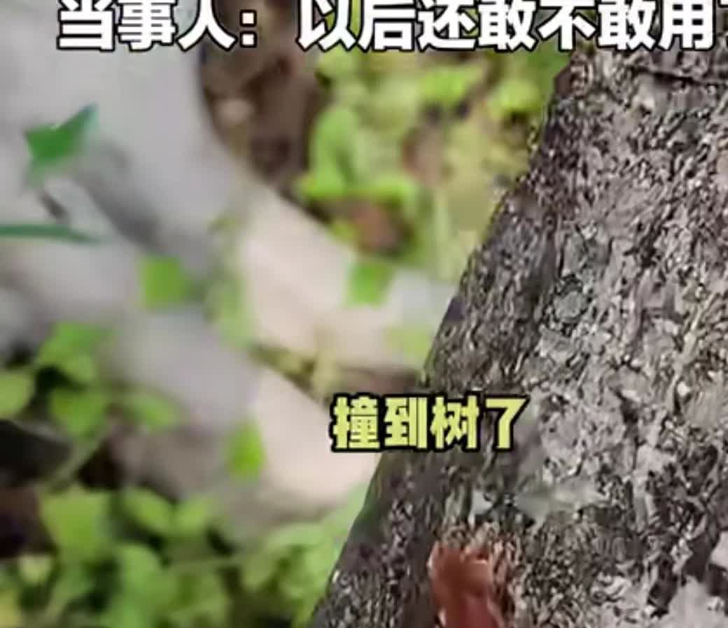 小米汽车又陷风波，有位广东的车主称使用小米汽车自动泊车时，系统无法树木导致汽车撞