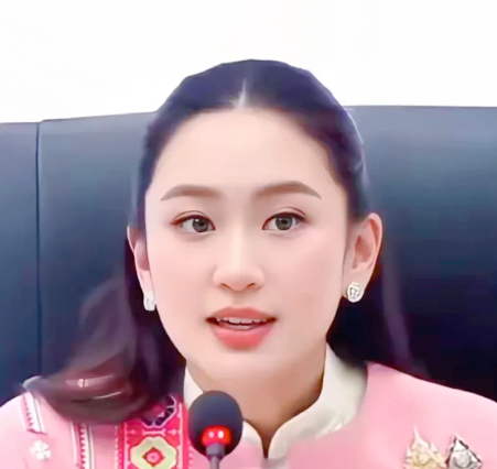 佩通坦逆袭成功，国会全力支持，257票通过预算法案
泰国国会下议院于8月29日通