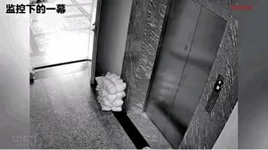 生动的一个诠释了一个和尚挑水喝，两个和尚抬水喝。[赞][赞]