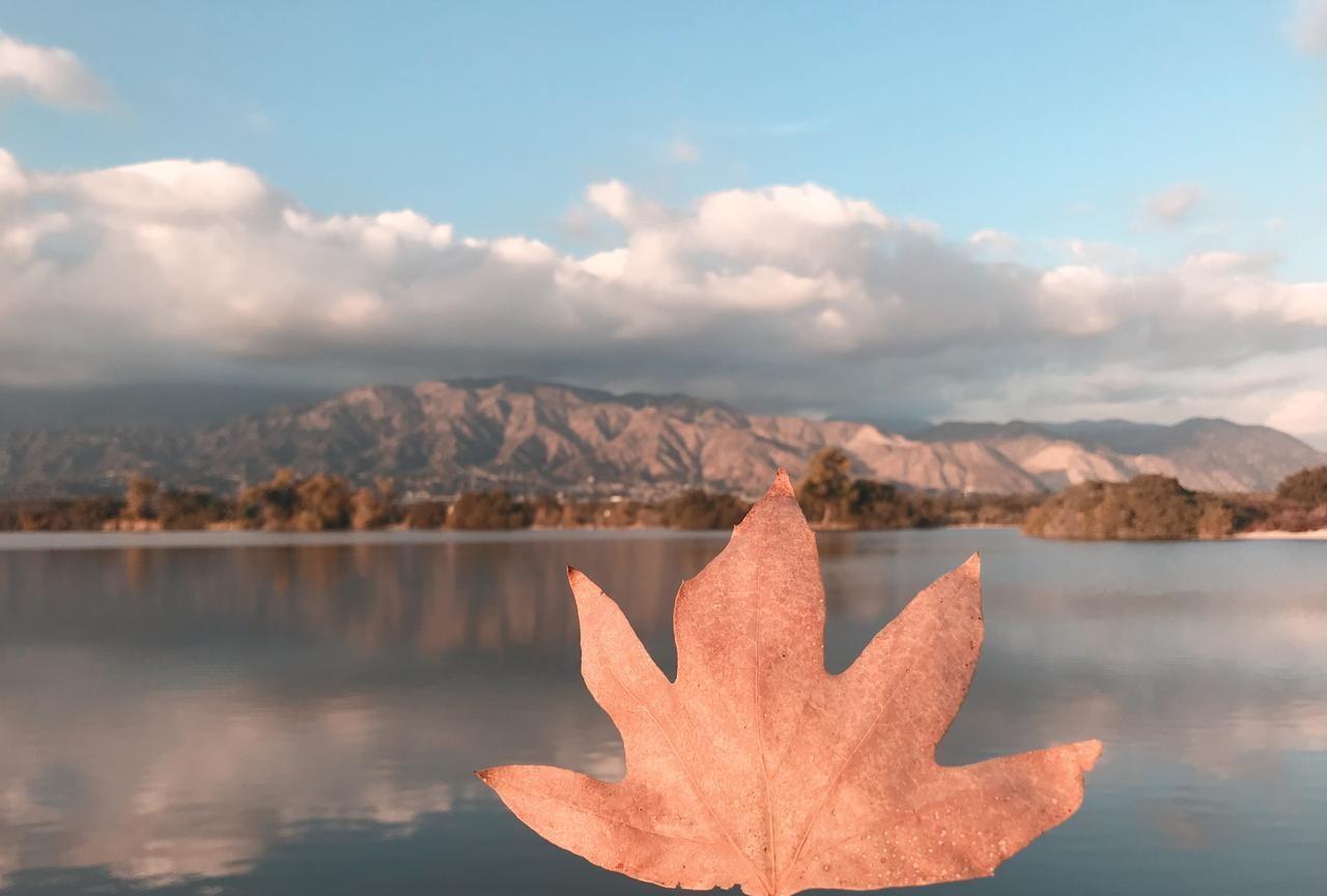 观察发现：
单位里最不可忽视的一群人；
那就是单位里某些不起眼岗位的人，
他们存