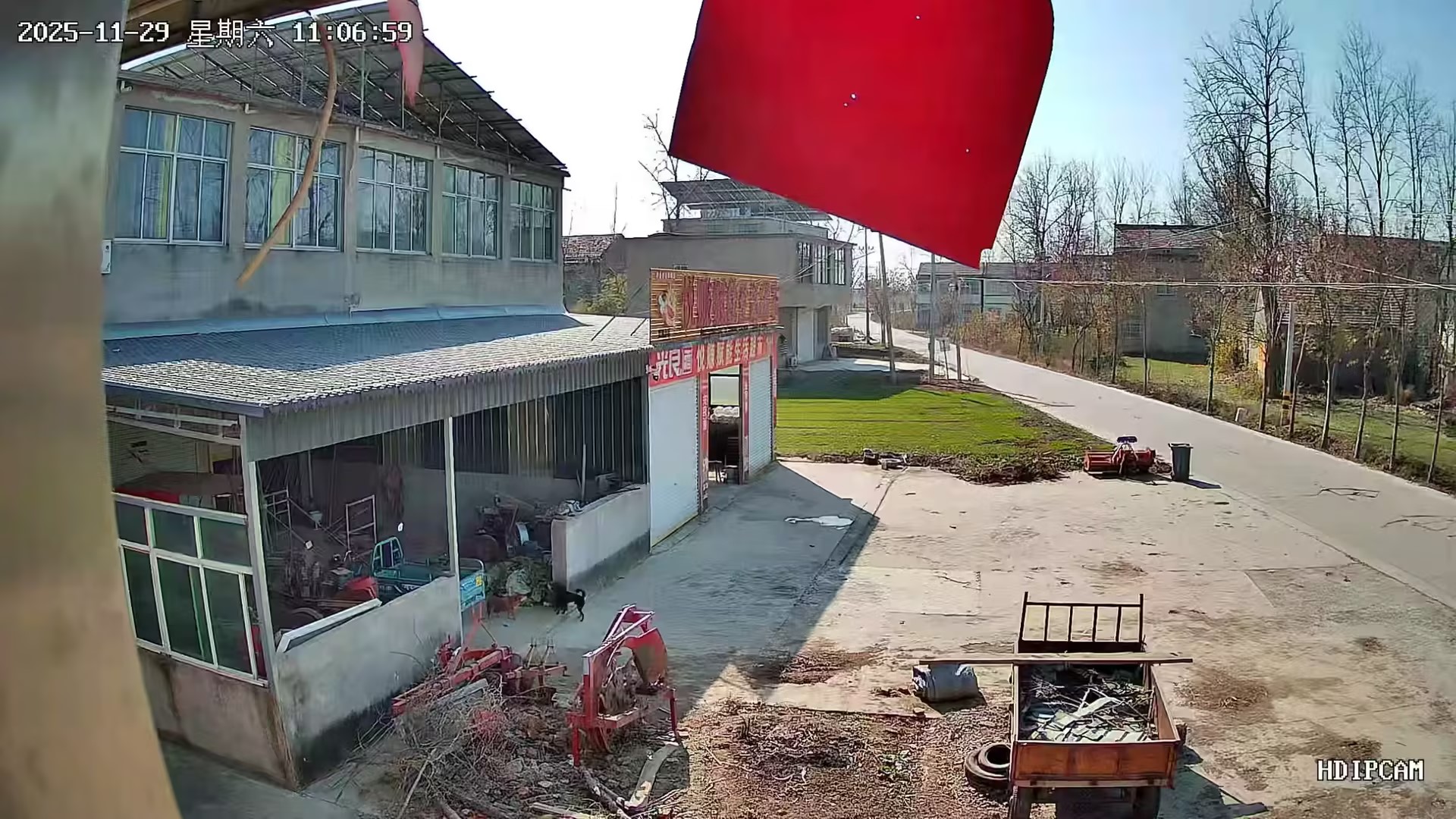 残疾母亲泣求：还我耕地，给孩子一条活路