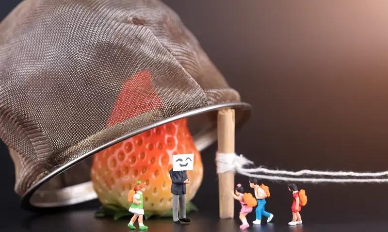 你贪图的是他的高息，他盯住的却是你的老本。近来某地出现的类似问题，再次提醒大家，