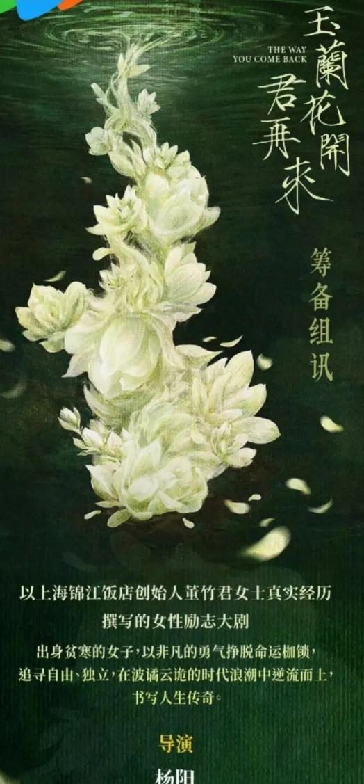 杨紫，你这次是真的有点糊涂了！
为什么要演《玉兰花开君再来》里的董竹君呢？
这也