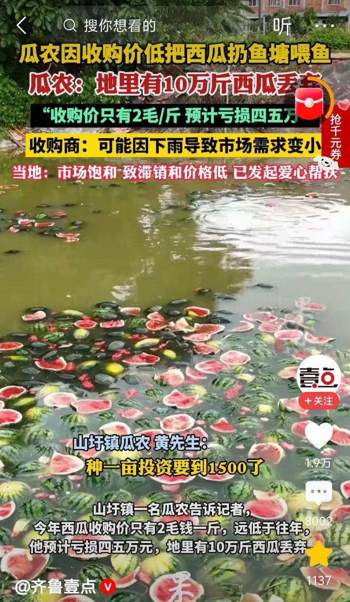 看到这个，感觉好可惜啊，广西的瓜农因西瓜收购价2毛钱一斤，只能把西瓜都扔进了鱼塘