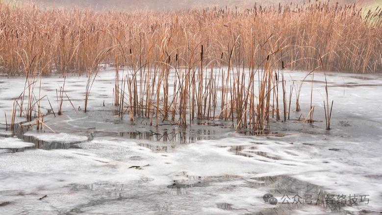 津液不足老得快？冬天常吃这3样，​滋养津液、喉咙舒坦、皮肤更润泽