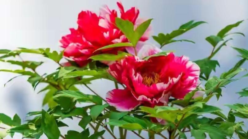 关了灯真都一个样？舒服的女人，和累的女人从不同