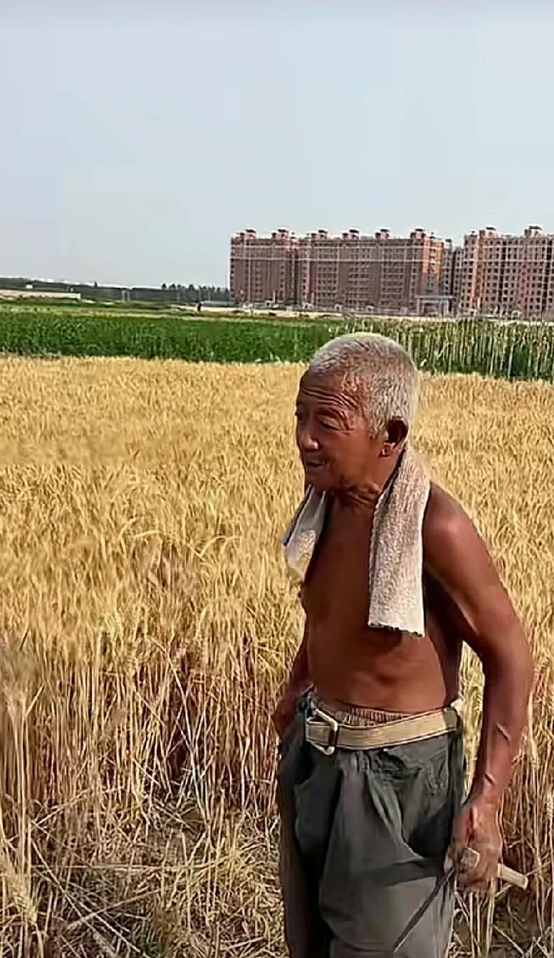 面朝黄土一老汉
浑身皮肤披黑衫
岁月沧桑鬓发染
满身风霜老伴安
镰刀弯弯汗侵染