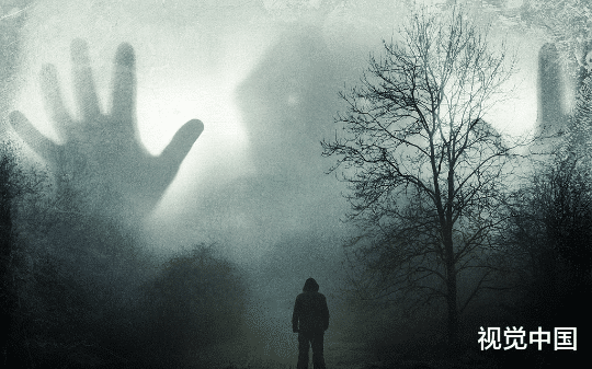 我从肉铺上救下一只肉狗，  令人惊喜的是这条狗相当聪明，  也很粘我，可是却有人告诉我……