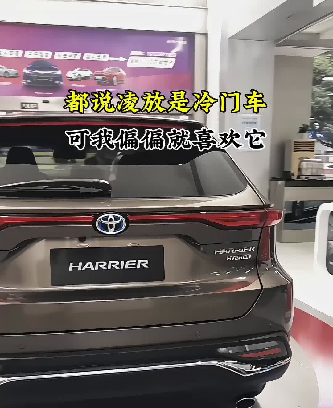 都说凌放是冷门车，可我偏偏就喜欢它。