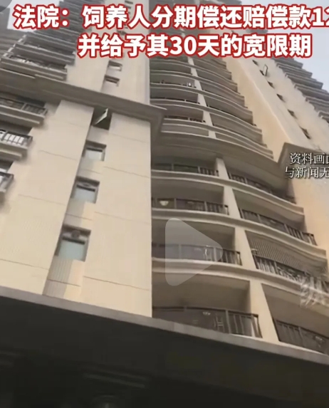 韶关赵先生携爱人带着孩子在小区玩耍，谁知祸从天降，从高楼处掉下来一只乌龟，将他们