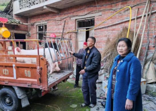 笑死了！四川资中一位村民发现自家两头猪不见了，于是报警处理，三个月后，猪被找回，