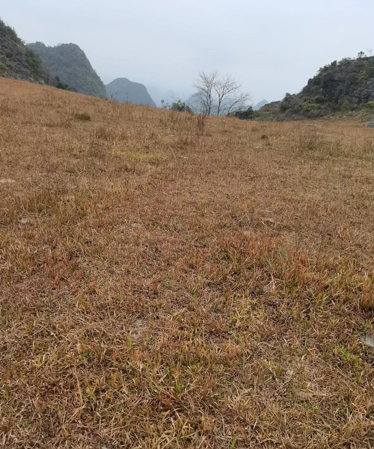 同学去世一个月了，在微信群里，有人发出感慨：到现在都没有删他的微信，他终于解脱了