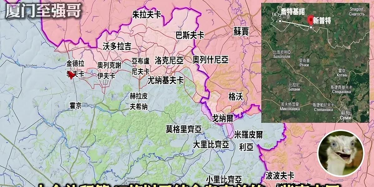 作为乌克兰近期最大的动作，苏梅反攻的进行让乌军在战场上颓势有所缓解，甚至说苏梅战