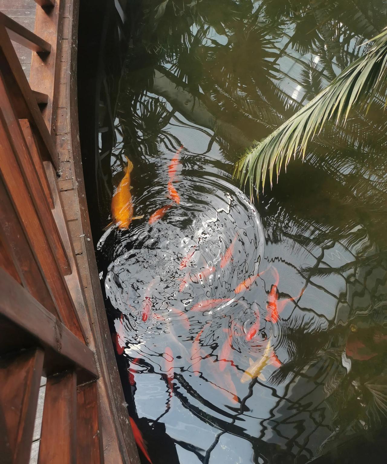 #分享你随手拍的风景#