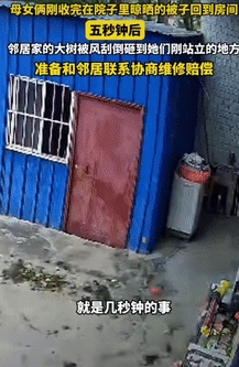 一母女俩刚把洗好的被子晒出来，没成想仅仅几秒后，就出事了