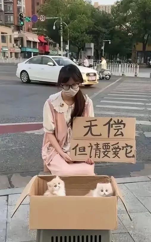 年轻女子街头无上赠送猫咪，网友大呼：“太漂亮了！我想要一只，可惜离家太远。”
网