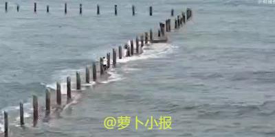 劝都劝不住啊，每年都有大聪明。
6月14日，青岛，网友发布视频，两个犟种妹子沉迷