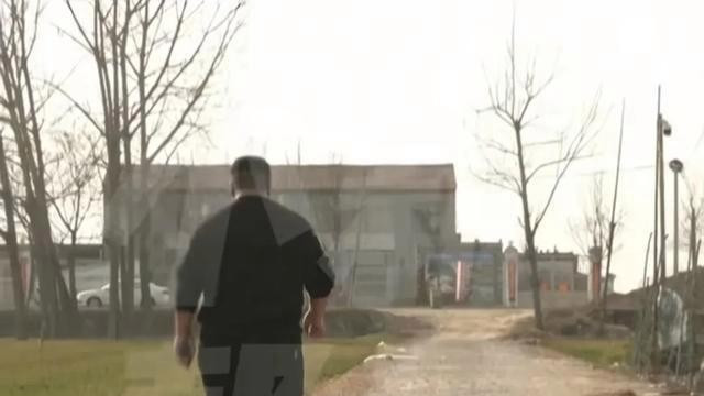 洛阳男子五年网恋被骗40万：秋天的第一杯奶茶，换来一场空欢喜