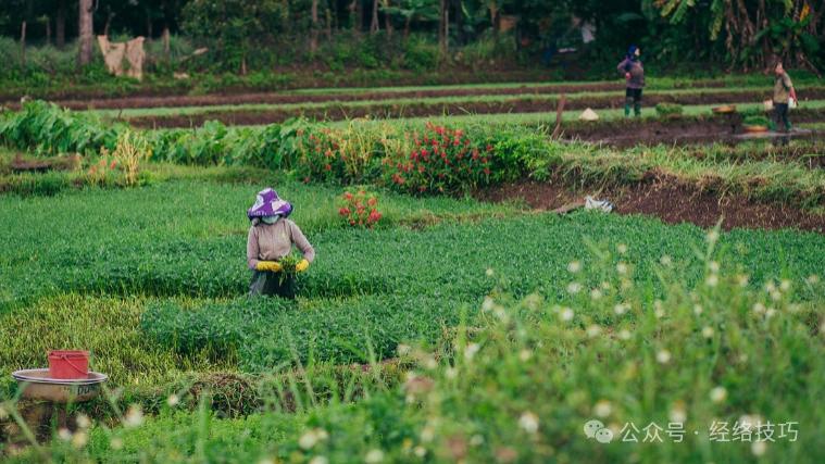 身体总不好，建议去农村！