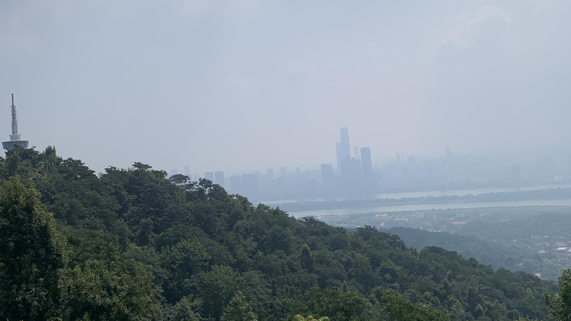 古籍命理案例~荣夫益子之女命