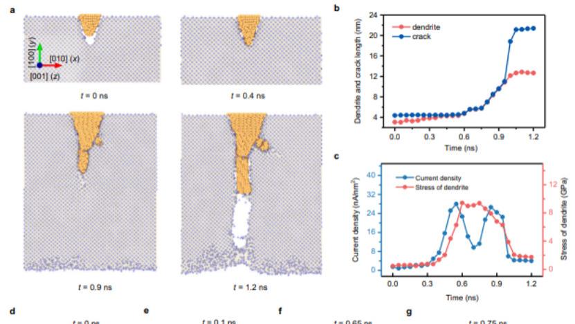 深挖锂枝晶机制！哈工大＆南洋理工联手，最新Nature子刊！