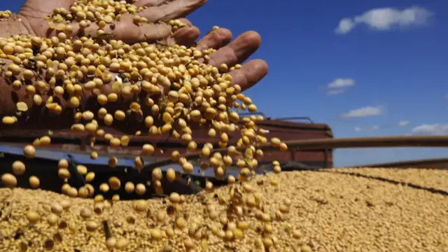 从被做局遭“血洗”，到如今一粒不买：中国停购美国大豆背后，局面为何反转?