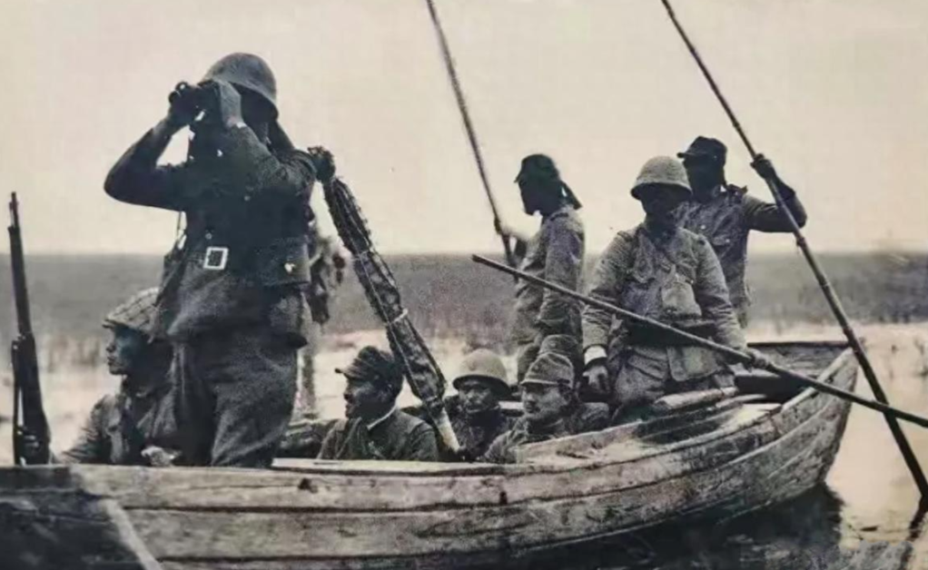 1944年，游击队因叛徒告密，躲进芦苇荡里啃了一个月芦苇，出来后却看到一名吃得白