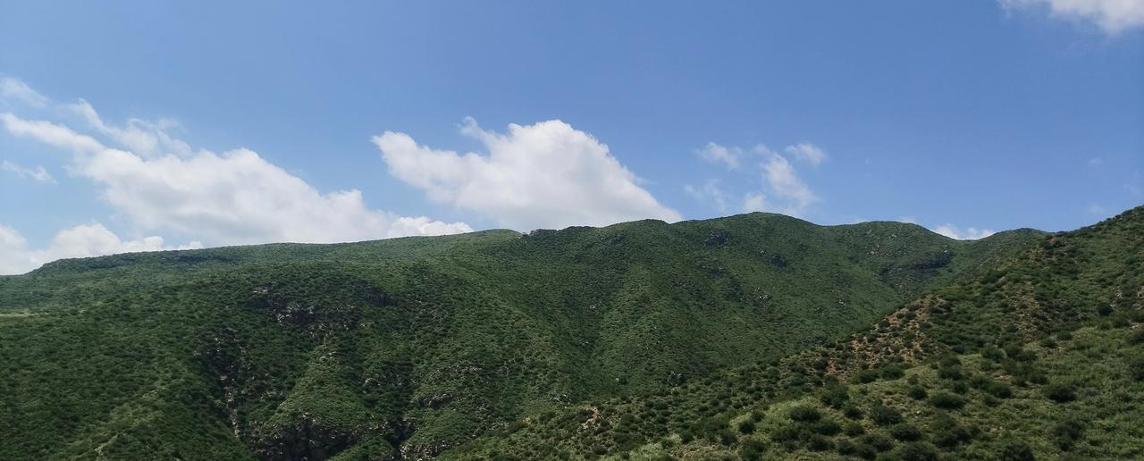 美丽的大青山，雨后青山翠色，高天流云