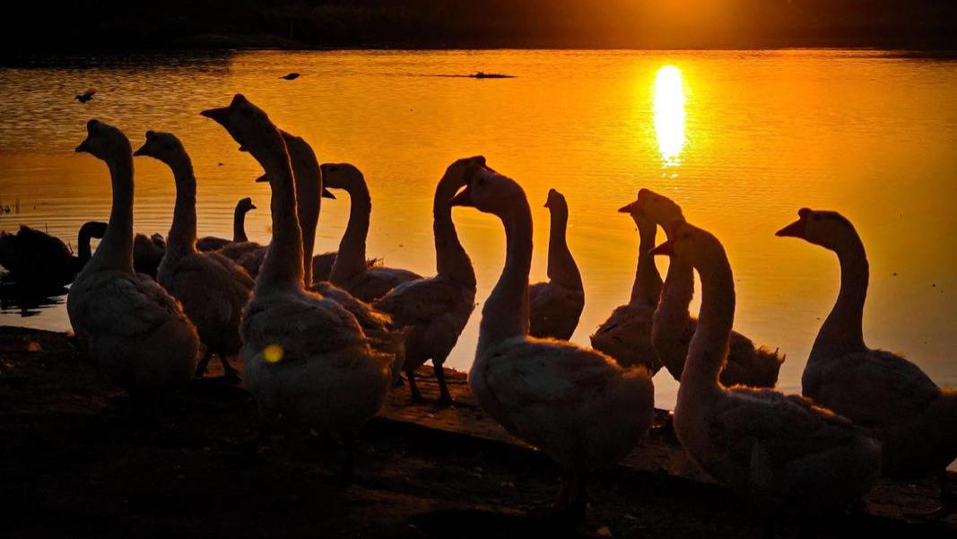 大同土林：黄土高原上的“大地指纹”，解锁塞北荒漠的地质奇观全攻略