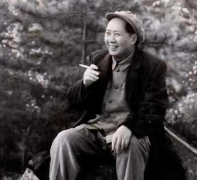1969年，一次会议上，毛主席看着李先念品尝雪茄，脱口而出：“这么好的烟，怎么不