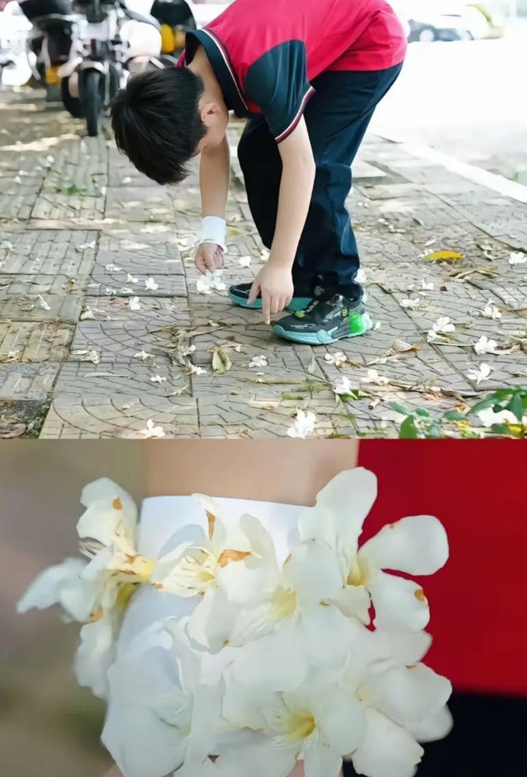 “夹竹桃花”毒蛋糕网红或面临千万赔偿，有一个女的拿着夹竹桃花在嘴边上就中毒了
唐