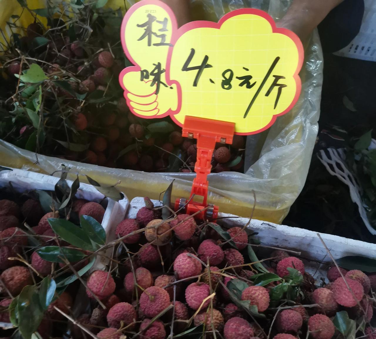 果贱伤农，糯米糍荔枝往年价格好几十块，现在只要6块8一斤，桂味更便宜只要4块8，