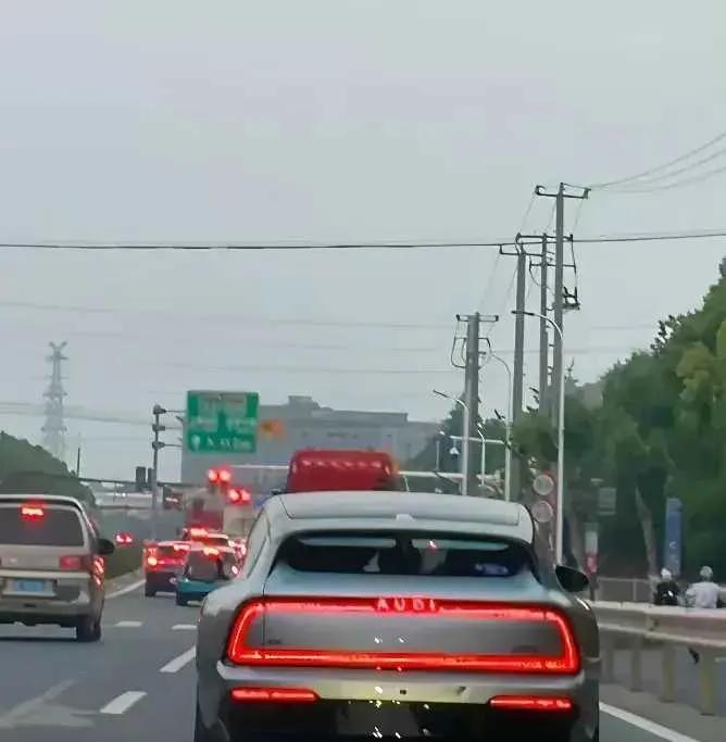 网友：奥迪不愧为“灯厂”，就这一体贯穿式尾灯设计，简直是“前无古人后无来者”，丑
