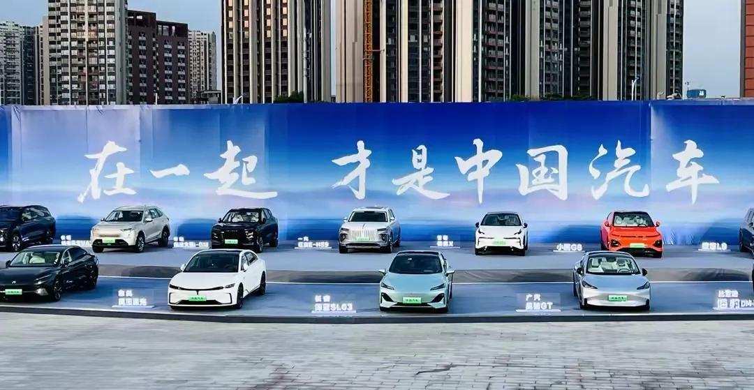 都2025年了，中国汽车该为自己正言了！华为问界卖的贵有话要说，比亚迪秦卖的便宜