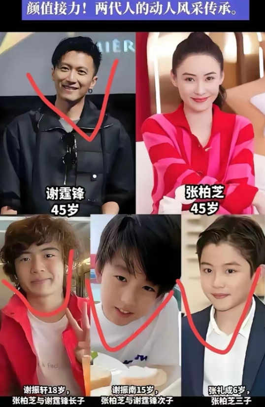 张柏芝三个儿子，只有大儿子最帅，没有辜负张柏芝和谢霆锋的基因，二儿子竟然长这样，